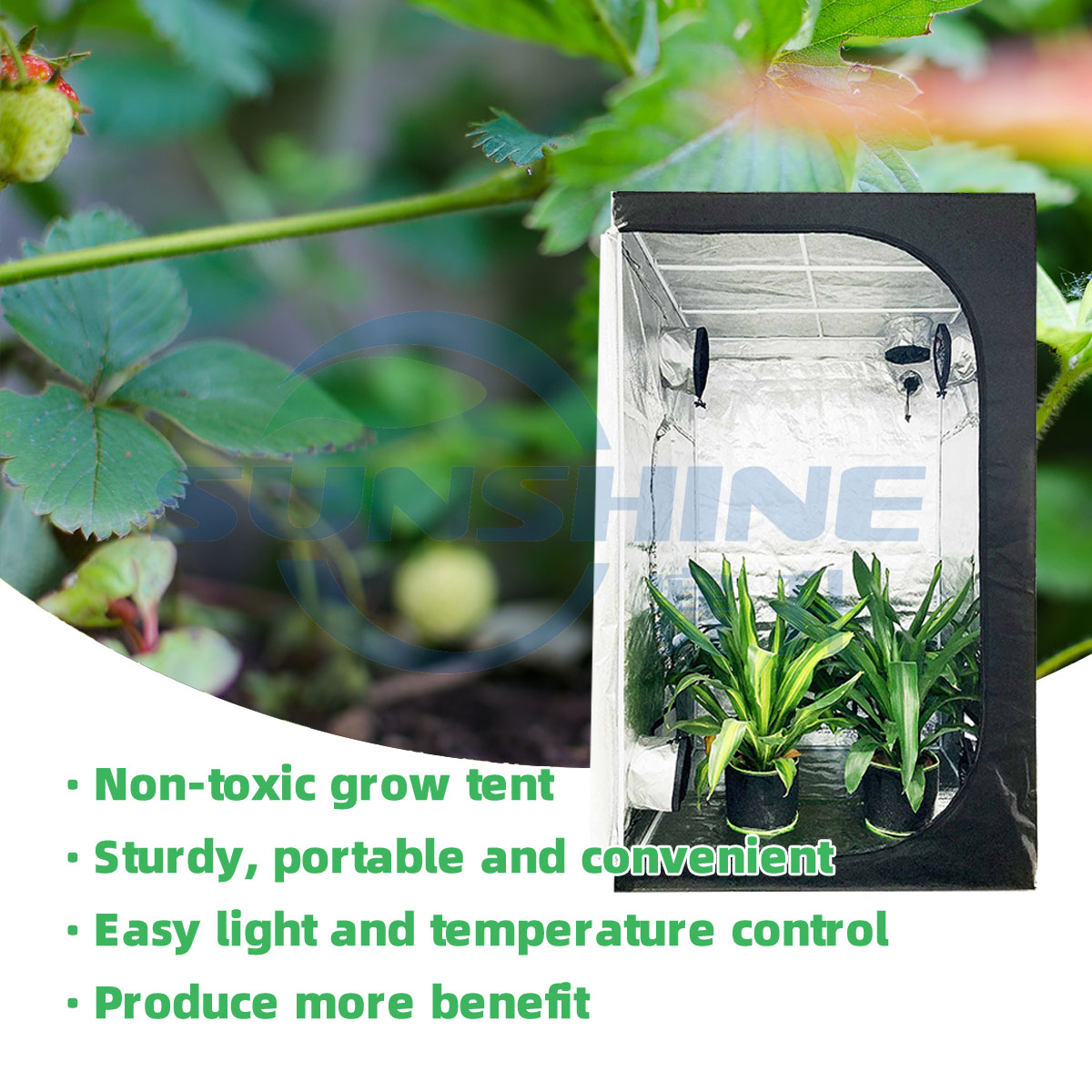 Plant Grow Tent Plant Grow Tent